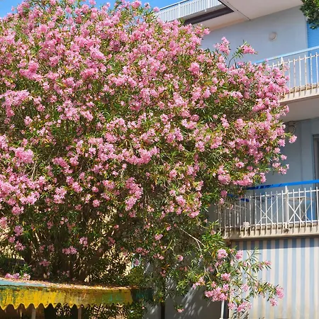 Casa Oleandro